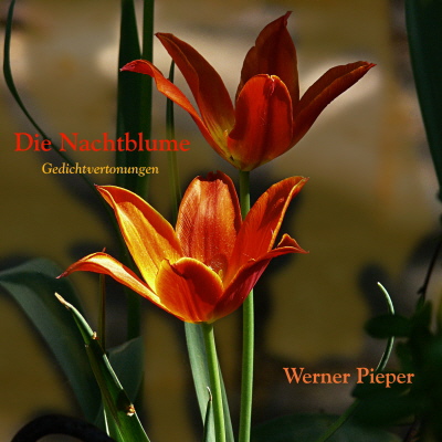 Foto, Bearbeitung, Cpoyright: Werner Pieper, 2011 Foto, Bearbeitung, Cpoyright: Werner Pieper, 2011